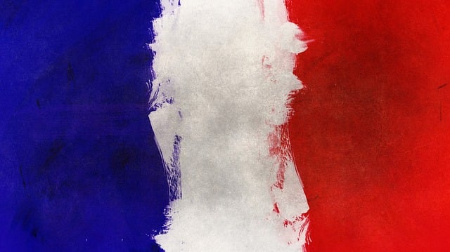 image du drapeau de la France